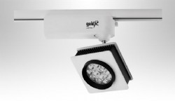 ZE546 30w ledli ray spot armatr
