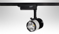 ZE549 30w ledli ray spot